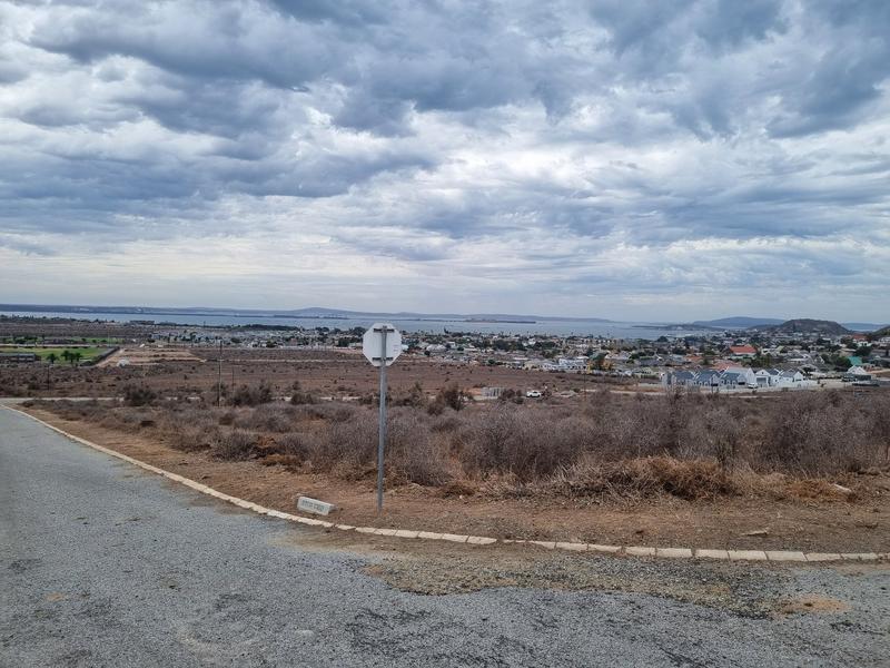 0 Bedroom Property for Sale in Welgedaan Estate Western Cape